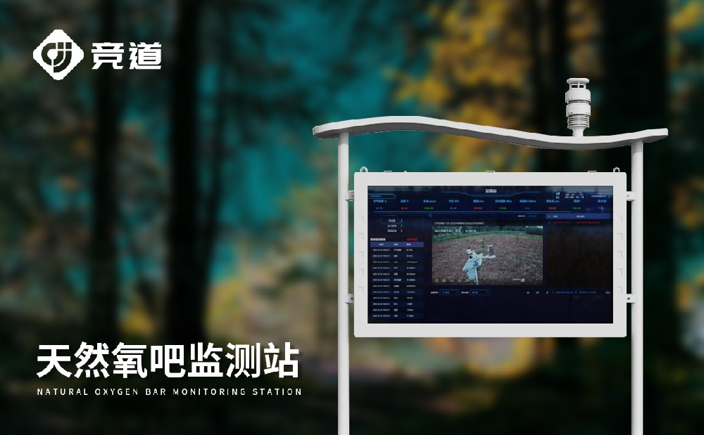 公園負氧離子設備廠家