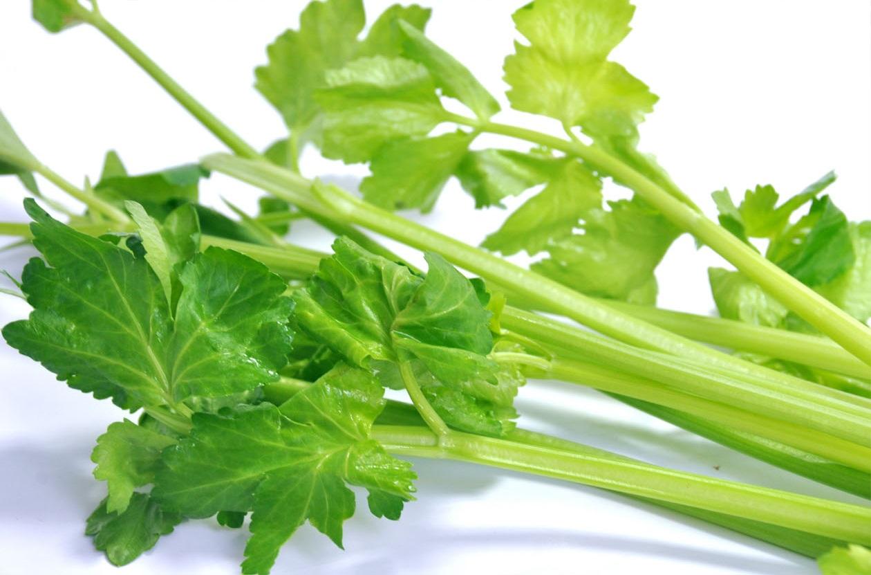 蔬菜是個寶，這些部位也更好！