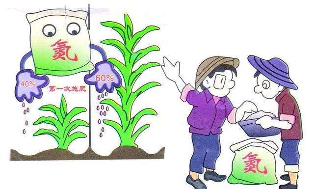 土壤檢測設(shè)備儀器 土壤檢測設(shè)備儀器