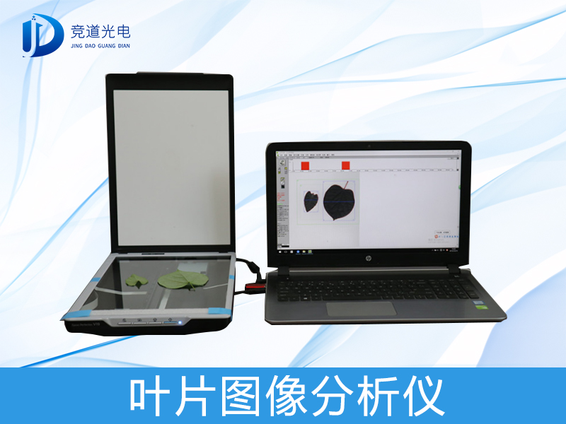 葉片圖像分析 葉片圖像分析