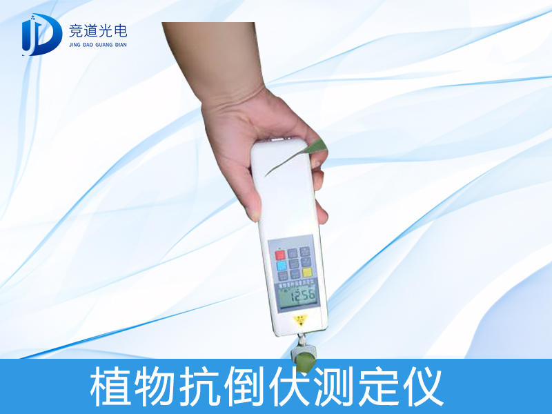 植物莖稈 植物莖稈