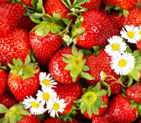 微流控農(nóng)殘檢測儀檢測農(nóng)殘新技術